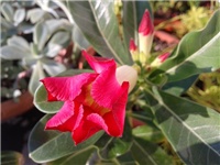 6a966b6a-fotka17 (2).jpg